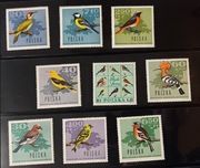 !!! POLSKA - PTAKI LEŚNE 9szt...KOMPLETNA SERIA...CZYSTE**!!!