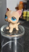 Pet Shop  Hasbro vintage Unikat 2004 kotek 