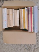 Karton słowników, książek do niemieckigo