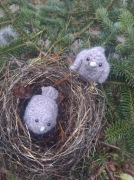 Wróbelki robione na szydełku.