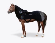 MAGNETOTERAPIA /RLT KLOUD, Bemer, Biomag VET, Lumaflex najem cała Polska