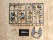 warhammer old world bretonnia pegasus knight 