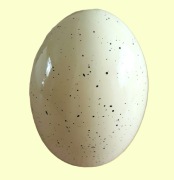 JAJO WIELKANOCNE ceramiczne WIELKIE 17 cm 