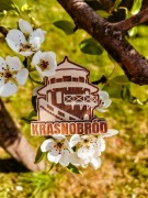 Drewniany magnes 3D - Roztocze Krasnobród
