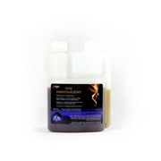 Olej z czarnuszki 500ml - Zimnotłoczone Oleje Dla Koni