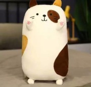 Maskotka poduszka kot kawaii dla dzieci 50cm