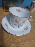 Stare duo do herbaty Hutschenreuther Jumbo kwiaty lata 30