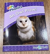 Jolly Phonics An Owl Prowl 