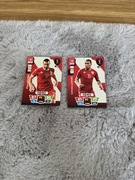 karty FIFA world cup qatar2022 Tunezja