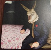 Tindersticks the waiting room CD DVD 