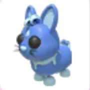 Water Rabbit - Adopt Me Roblox