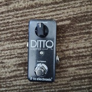 Looper Ditto tc electronic 