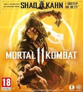 Mortal Kombat 11 PC Steam