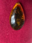 Wisiorek z zatopionym skorpionem