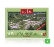 Plastry Katar migrenę zatoki bóle Zhui Feng Forte TianDe