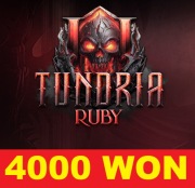 TUNDRIA RUBY WONY 4000 WON 4kw WONY WONÓW TUNDRIA2 TUNDRIAII AKADEMIA