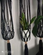 Lampion & kwietnik Boho