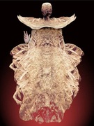 Zdzisław Beksiński "Bez tytułu" grafika komputerowa, płyta 80x60cm