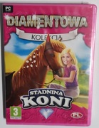 STADNINA KONI - NOWA PL