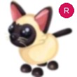 Siamese Cat Adopt Me AM