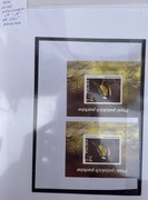 Fiszer nr arkusz 5215** Nowodruki A i B ten sam nr