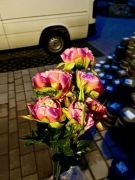 Duży bukiet piwonia różne kolory 