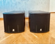 Głośnik niskotonowy, subwoofer aktywny dB Technologies