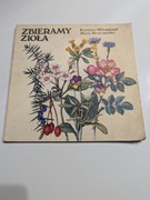 Zbieramy Zioła Krystyna Mikołajczyk i Maria Reszczyńska