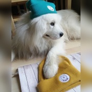 Czapka Beanie "Kobi"