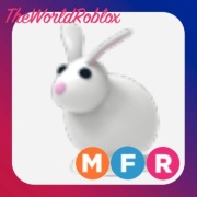 Roblox Adopt Me Rabbit MFR