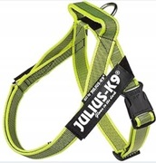 Julius-K9, Color & Gray, uprząż dla psa 