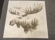 Grawer łosia 25x25cm