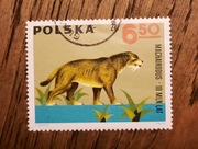 ZNACZEK POLSKI - Machairodus ssak kotowaty - 6,50 zł Andrzej Heidrich PWPW