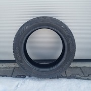 Opona całoroczna / wielosezonowa M+S - Apollo Alnac 4G Winter 195/55R16 87H