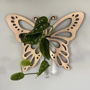 ozdoba na ścianę, farma roślin