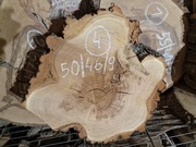 AKACJA ROBINIA 50/46/9 cm Po Suszarni Blat Plaster Drewna Stolik DIY Suchy