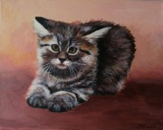 Obraz akrylowy Kot 25x30 cm