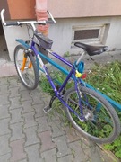 Rower Author Mystic Sx