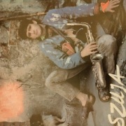 Płyta winylowa szuja