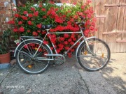 Rower Diamant Zabytek