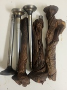 Zawory,sprężyny popychaczy