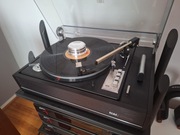 ELAC 770H + Wkładka Rega Elys2