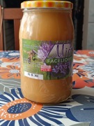 Miód faceliowy nektarowy.pasieka u Marka 1,2 kg.