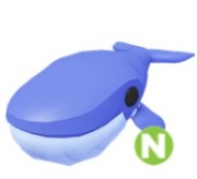 Blue Whale N Adopt Me Roblox 