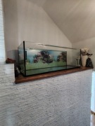 Akwarium 50x50x150 