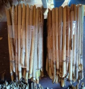 Trzcina murarka 10 pakietow