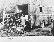 KARINO reż.Jan Batory fotografia fotos filmowy koń Iwno 24x30