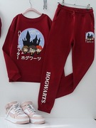 146* Dres/komplet dresowy Harry Potter 