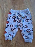 Chłopięce spodnie dresowe 74 Pepco