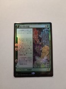 The Dragon-Kami Reborn / Dragon-Kami's Egg Japanese FOIL